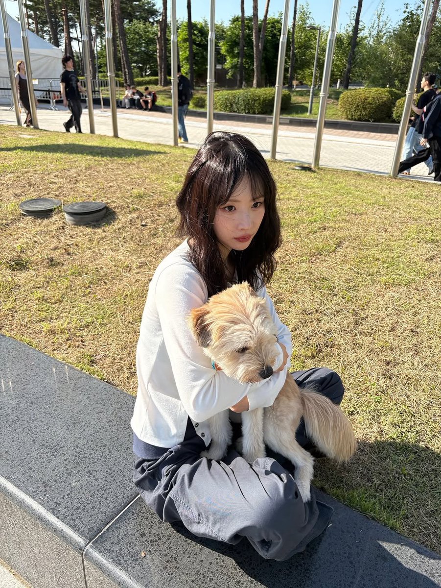 SEOLATO's tweet photo. 내 복실 가나디들 귀여워서 미치겠다 https://t.co/ld1wbvXyrG