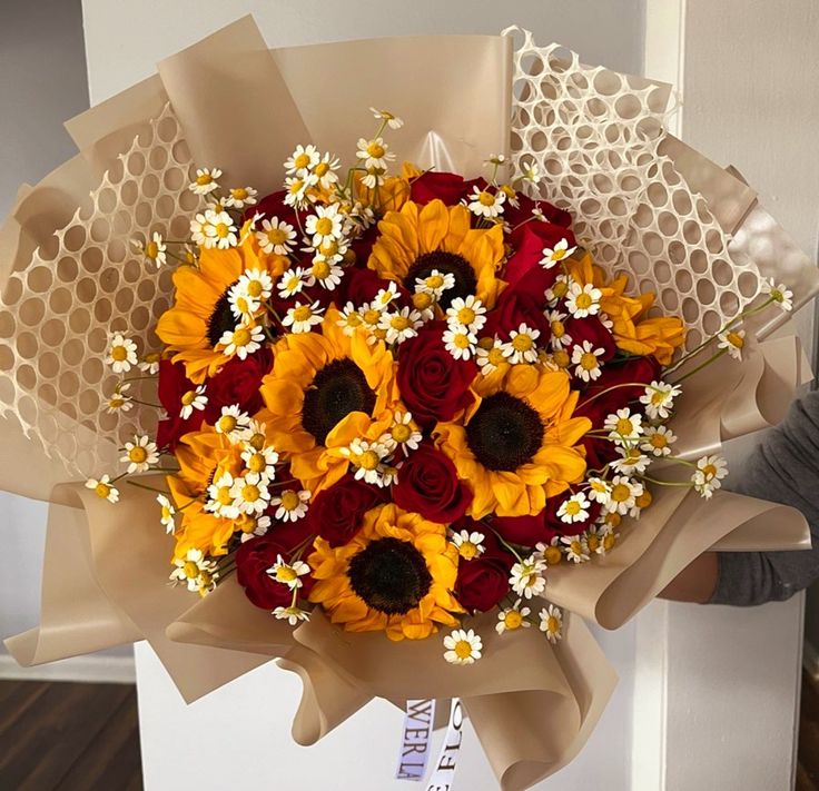 softpetalview's tweet photo. https://t.co/hEQfFp7R7R