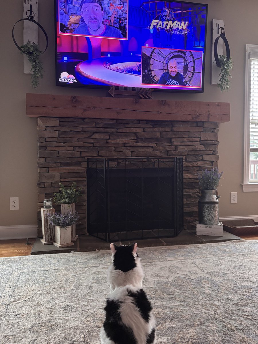 SasquatchLounge's tweet photo. My cat, Kylo, legit watching @ThatKevinSmith and Marc Bernardin. #fatmanbeyond https://t.co/0bPMzA2bSv