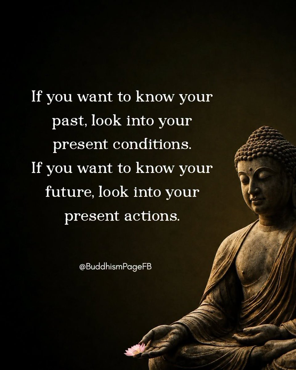 Mindset Machine  tweet media
