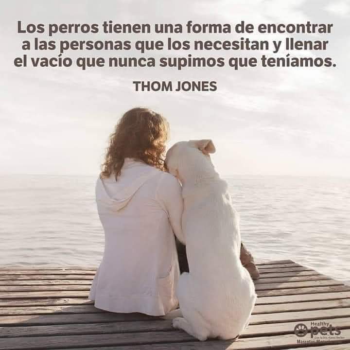 GRamirezF_D12's tweet photo. Buenos días Feliz viernes ✨💖 https://t.co/AY5LgIZXOb
