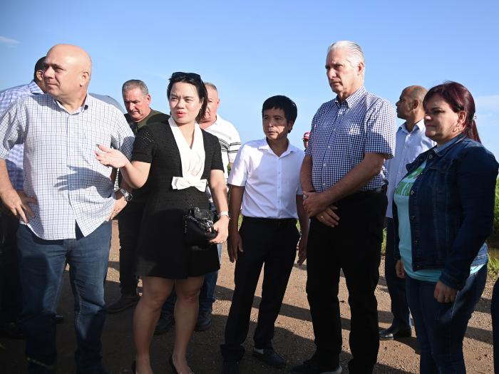 Granma_Digital's tweet photo. 🇨🇺🇻🇳🌾| En Cuba crece un arroz con raíces de amistad verdadera.

📌Miguel Díaz-Canel Bermúdez visitó, en la provincia de Pinar del Río, la Empresa Agroindustrial de Granos Los Palacios, escenario de una experiencia colaborativa entre la Isla y la hermana nación de Vietnam. https://t.co/tFdJA7ZQg5