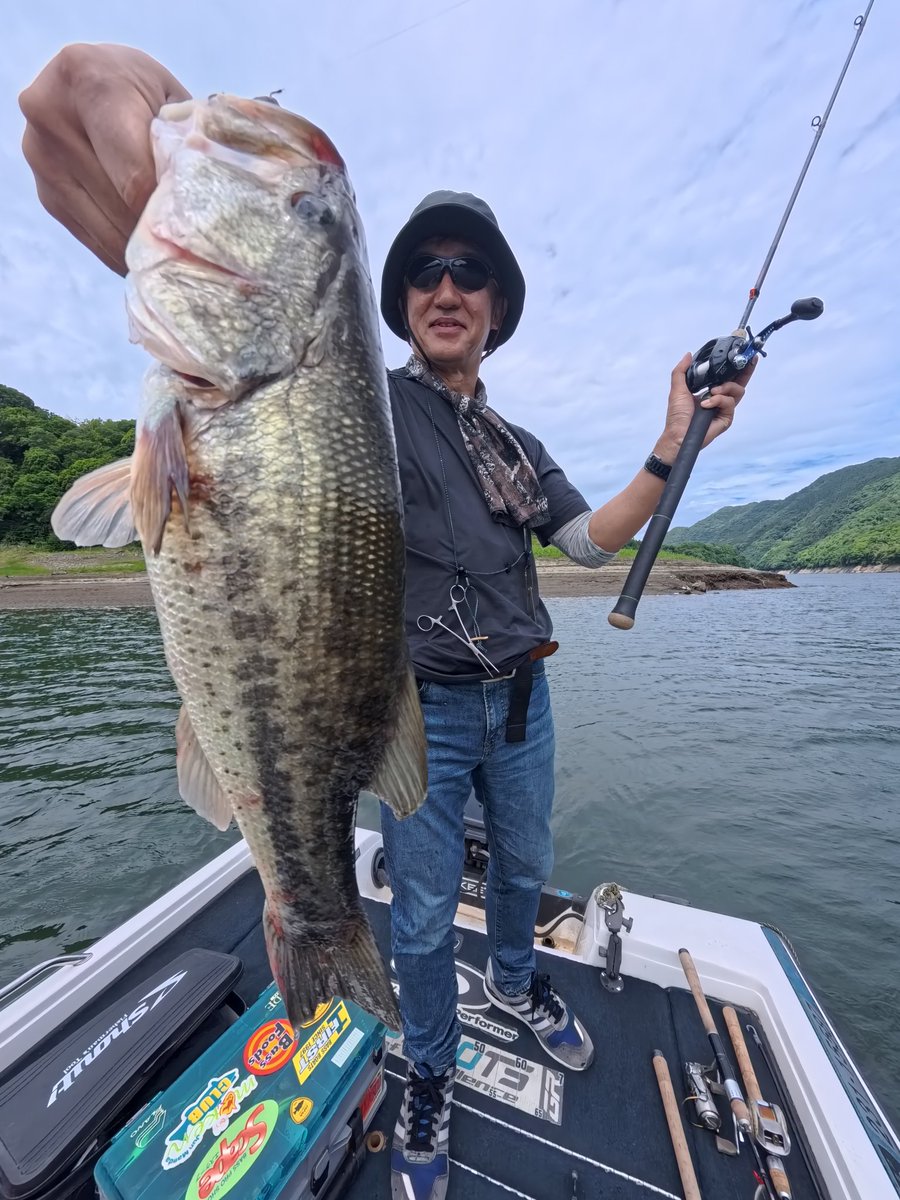 LakeTsukuiFG's tweet photo. ※週末日曜日ガイド空きあります！

やはり定休日ガイド最高でした。
木曜日はボート店は定休日ですが
ガイドは行っております🙇
と言うことで23年振りのバスを
求めてスタート！
ゲスト様都合で〜14時まででしたので
一匹でも多く釣っていただきたく
ドライブクローラー3.5のネコリグ
からスタート
3Dワッキーに変えたり
ドライブビーバー3のヘビキャロに
変えたり
で45cm47cm含むトータル7匹
ゲスト様
大
大
大満足で終了しました😍
当然ネコリグもヘビキャロも
当時は知らずで初経験でしたが
釣れるコツを掴んでいただいて
からは連発でした！

私も合間でヘビキャロとスピンナッツ80
で数匹ゲット
船中は10匹ほどでした✨

イマイチポイントや釣り方
分からないって方
ガイド来てみたいという方
数釣りたい方も
道具ないよって方も
ご安心ください😊
とりあえずお問い合わせください🙏
お電話（090-8942-5240）、DM、LINEが便利です↓↓↓

https://t.co/Ce6DFEi77I
（こちらからLINE登録できます）

#金井ガイド
#津久井湖
#金井塾
#OSP
#grassroots
#smith
#foxfire