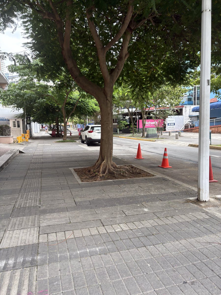 claudiachd's tweet photo. @Mayer  @salvadoraviad  @arquiterror  
Triste que en lugar de reemplazarlos procedan a cerrar las pocas zonas verdes que tenemos en la ciudad. Esto está en calle Uruguay y no entiendo por qué una empresa privada puede tomar decisiones sobre las zonas verdes que no le corresponden https://t.co/01VLvohrjC