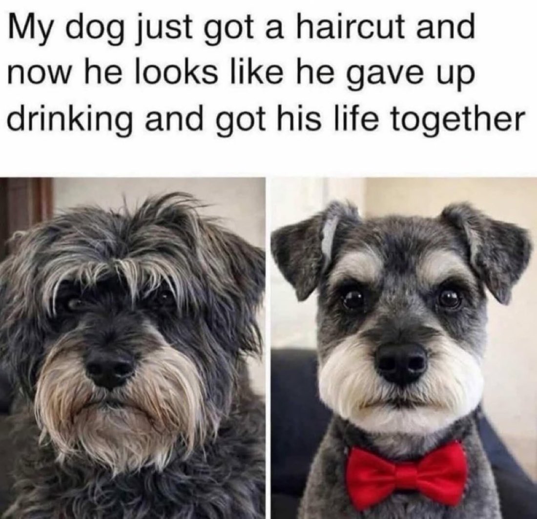 its_The_Dr's tweet photo. Looks like another one gave up drinking! 😂🤣 https://t.co/1ODYAFiZfe