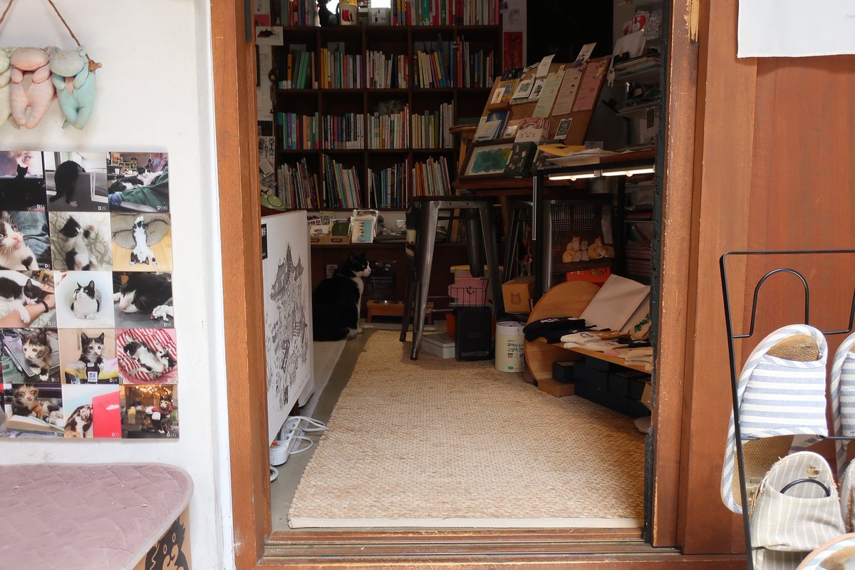 lonerlust's tweet photo. chaekbonyang cat bookstore / dotori garden / haruki murakami exhibit / seongbukcheon fountain plaza https://t.co/akKJ6XWulX