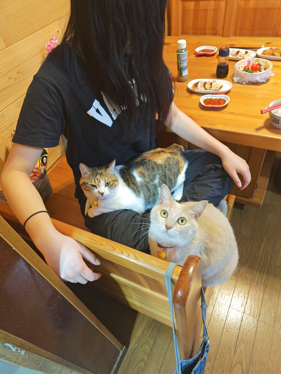 nyaoko tweet media