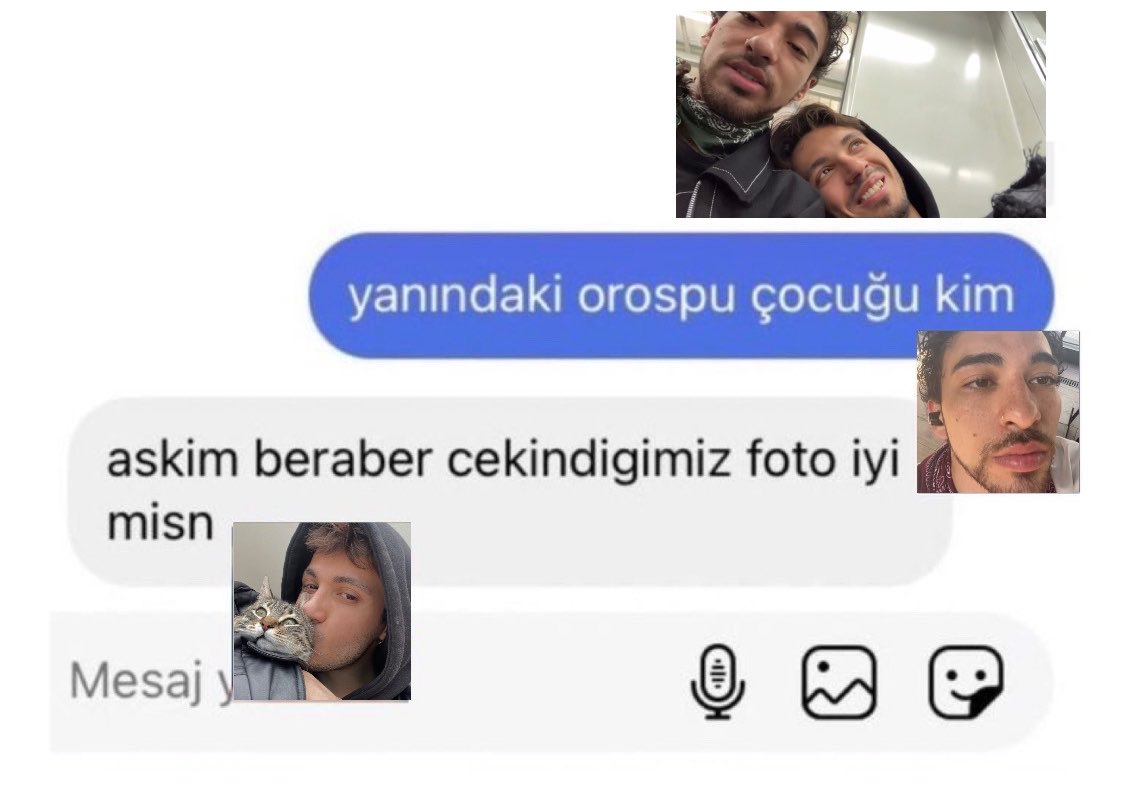 ju🪽 tweet media