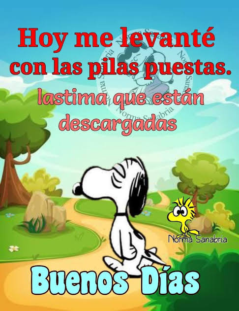 Felipe.A.MemaSolis tweet media