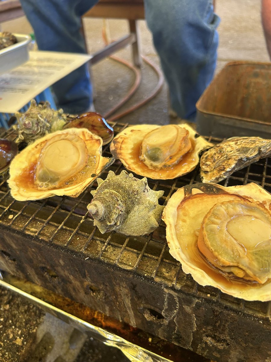 haruo6543's tweet photo. 初めて浜焼き行った！
美味し過ぎたからまたみんなで行こうね🫶 https://t.co/nCAMbBkiEH