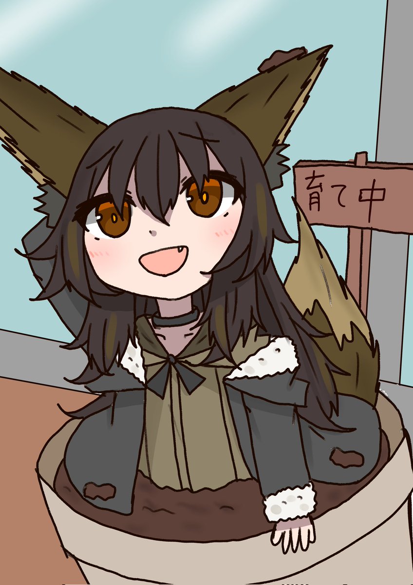片翼@かたよく🐾 tweet media