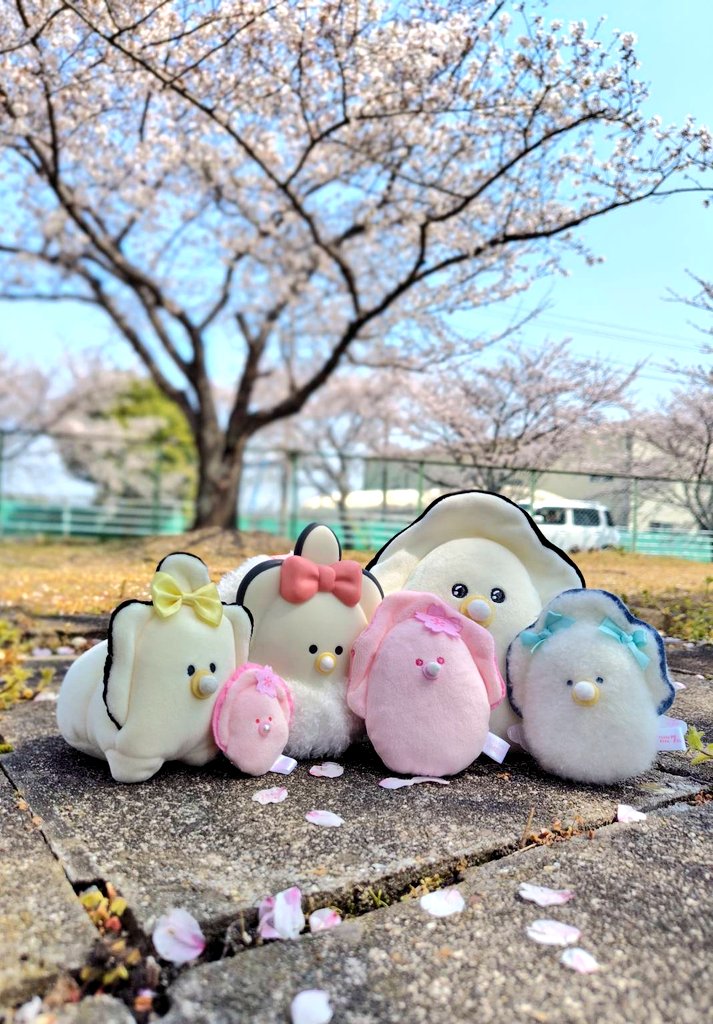 soranyan_fukusi's tweet photo. コミュニティ機能廃止か…
つぶらーさん…

コミュニティの皆さん
短い期間でしたが楽しかったです！
お元気で😊

フォロワーさんは引き続き
よろしくです！！🌟

今後も検索してみんなのつぶ活
楽しく拝見しますね💕︎︎

つぶらーさんフォロー頂けたら相互参ります✨（コミュ障…）お願いしま…す🙇🏻‍♀️ https://t.co/6yLCqUjspm