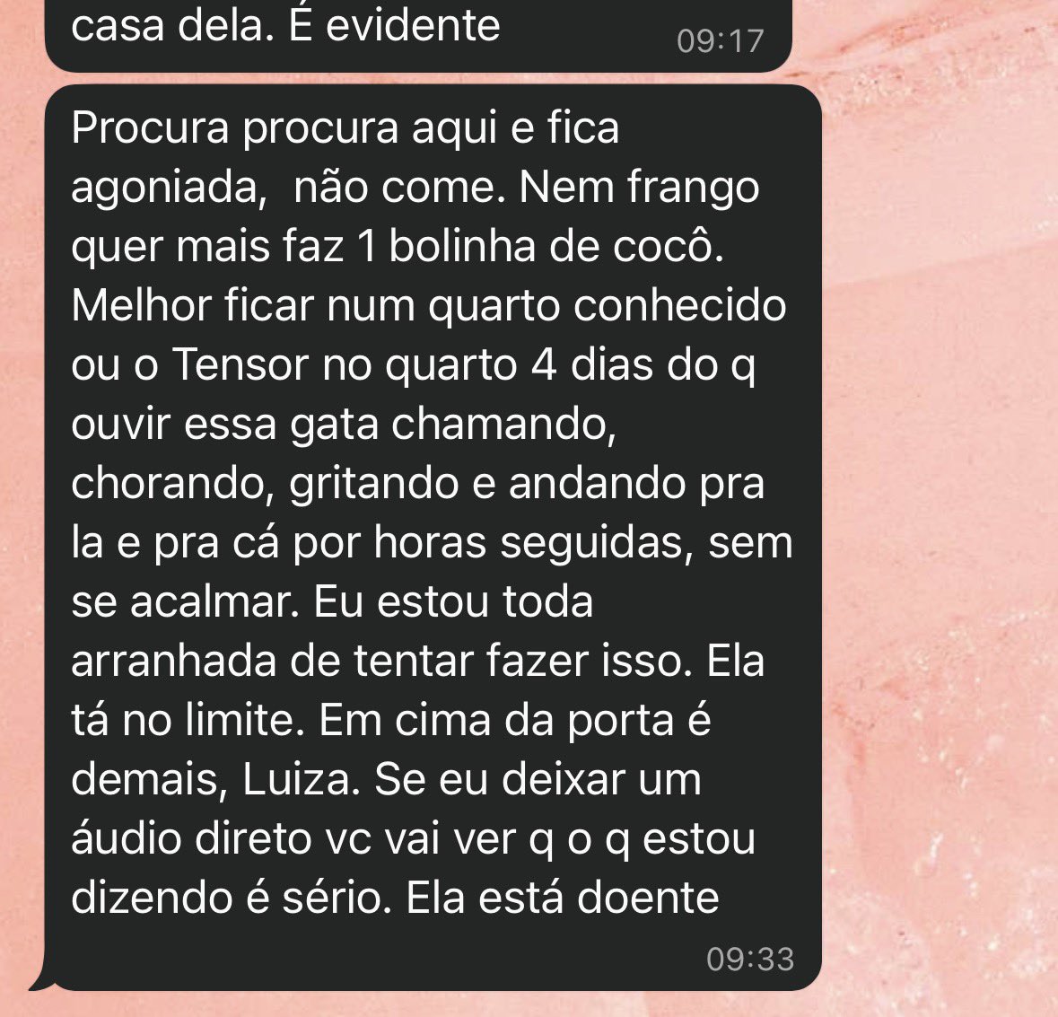 lure tweet media