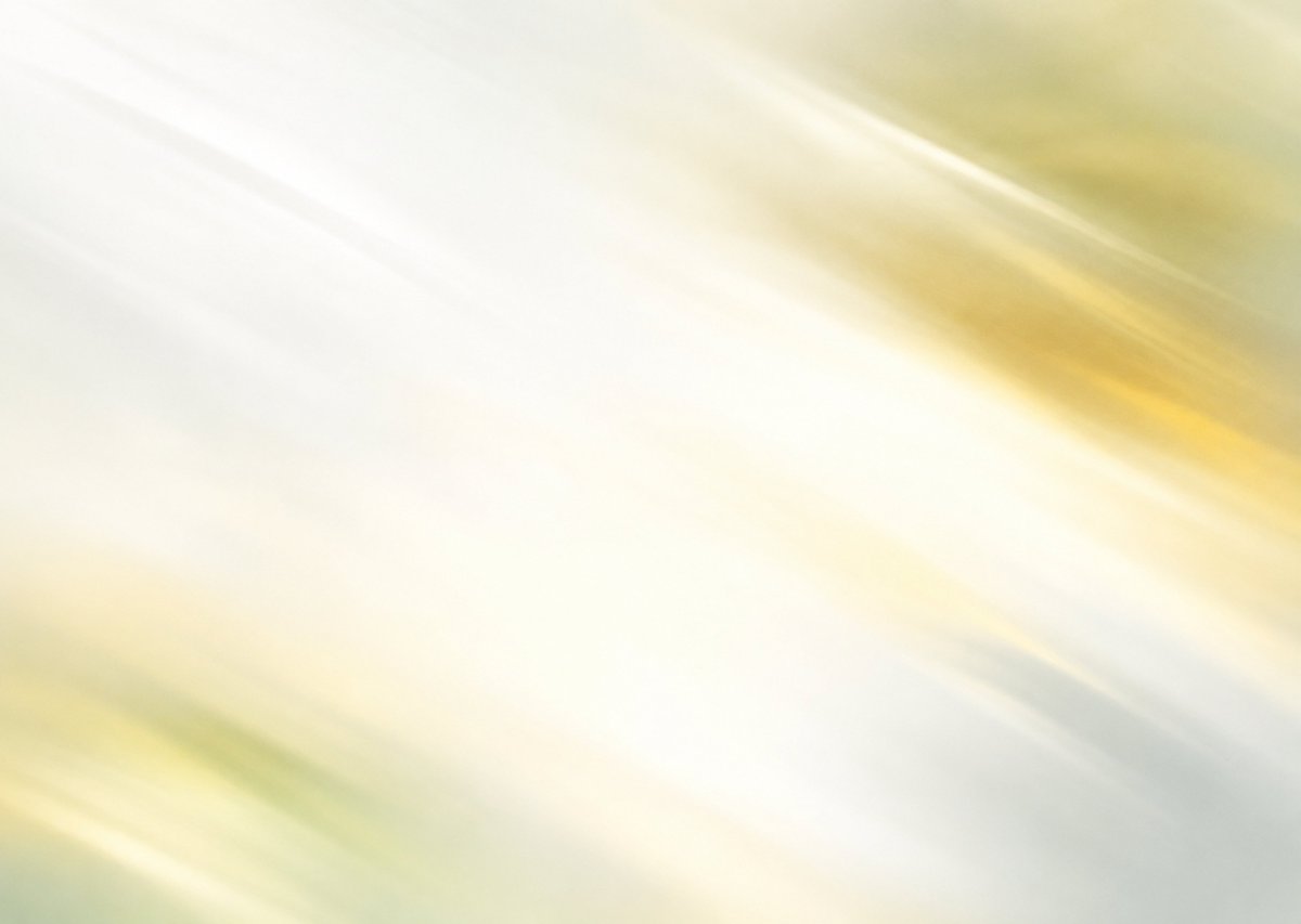 Design shot 2