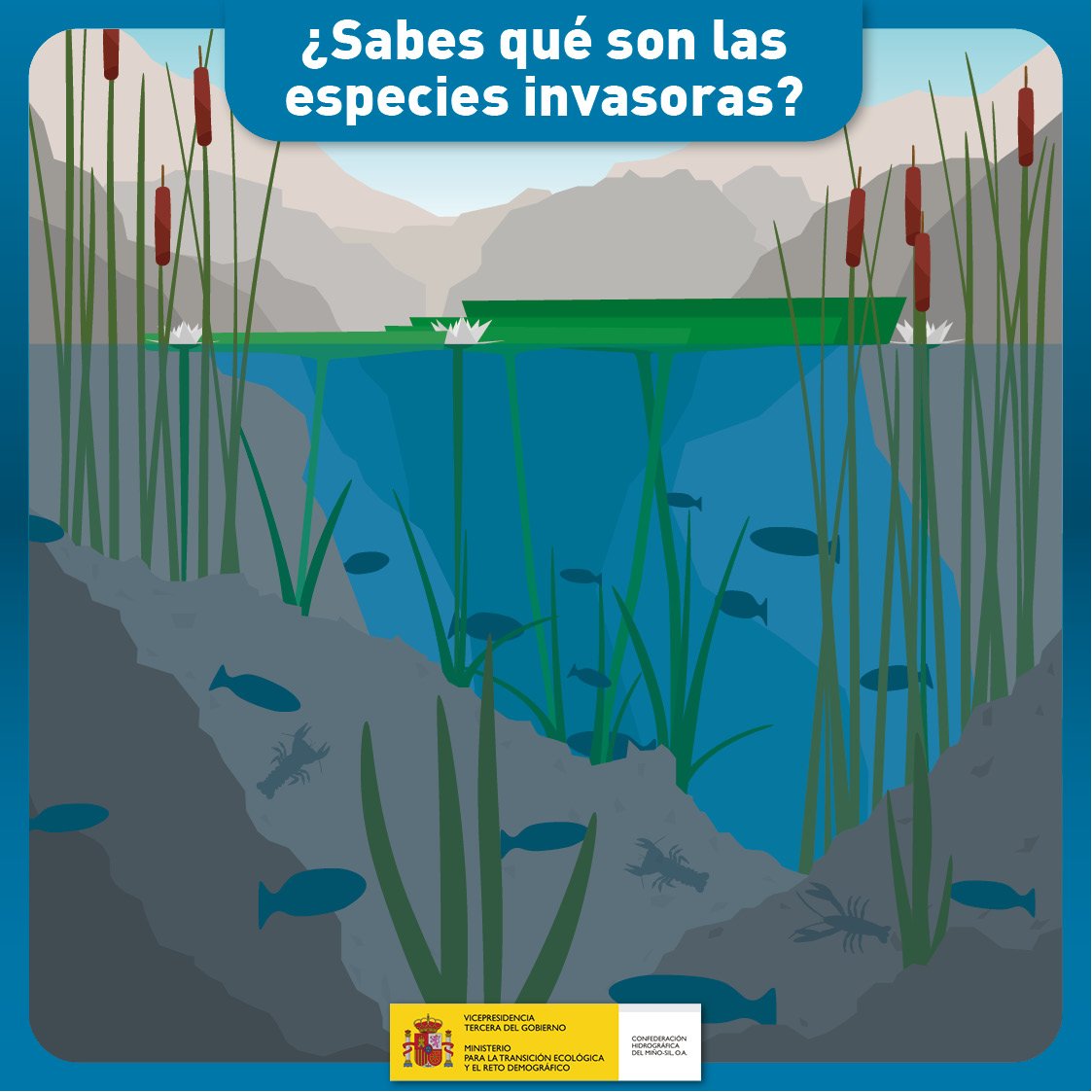 CH_MS's tweet photo. #sabesqué❓#especiesinvasoras son “aquellas que se introducen o establecen en un ecosistema o hábitat natural o seminatural y que es un agente de cambio y amenaza para la diversidad biológica nativa, ya sea por su comportamiento invasor, o por el riesgo de contaminación genética” https://t.co/ULnhpPmATF