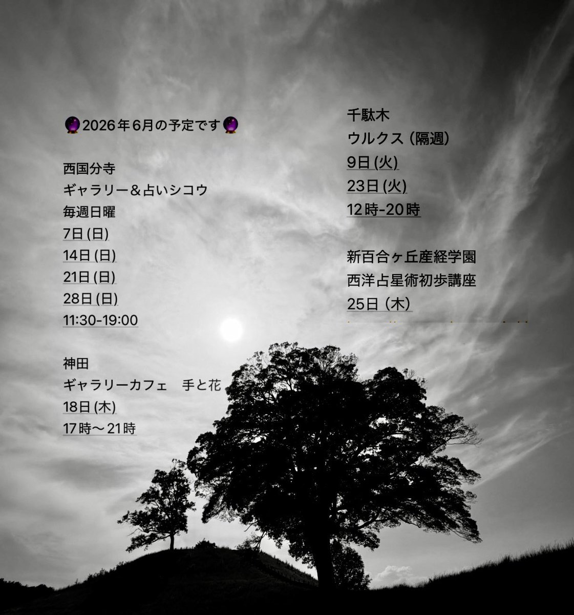藍沢りんや ‖ 占い×芸術 tweet media