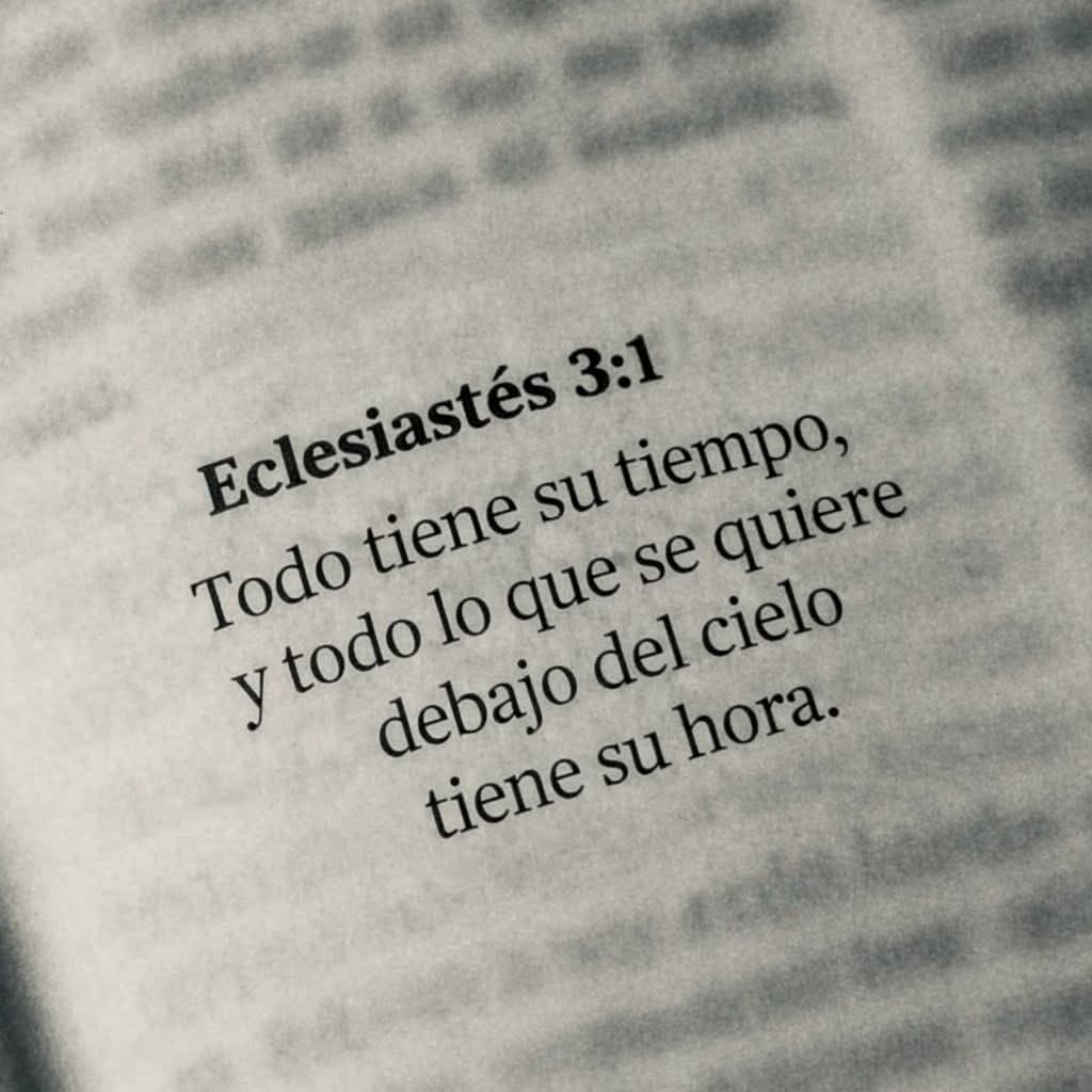 feydisciplina's tweet photo. Eclesiastés 3:1 https://t.co/8t0ZiFm9Ak