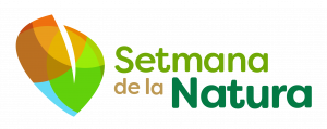 vic_mediambient's tweet photo. 📢La setmana que vé celebrem #DiaMundialMediAmbient a la jornada ambiental de #Vic
👉Dissabte 6 de juny
🕑 De 9h a 12h
🌳Bosquet de l'Atlàntida

🔵Xocolatada i tallers gratuïts☕️💦🐦🚶⌛️
🔜Inscripció prèvia a: https://t.co/xi7EhMc7qa

Activitats a @SetmanaNatura i suport de @diba https://t.co/z9d5ITJtHE