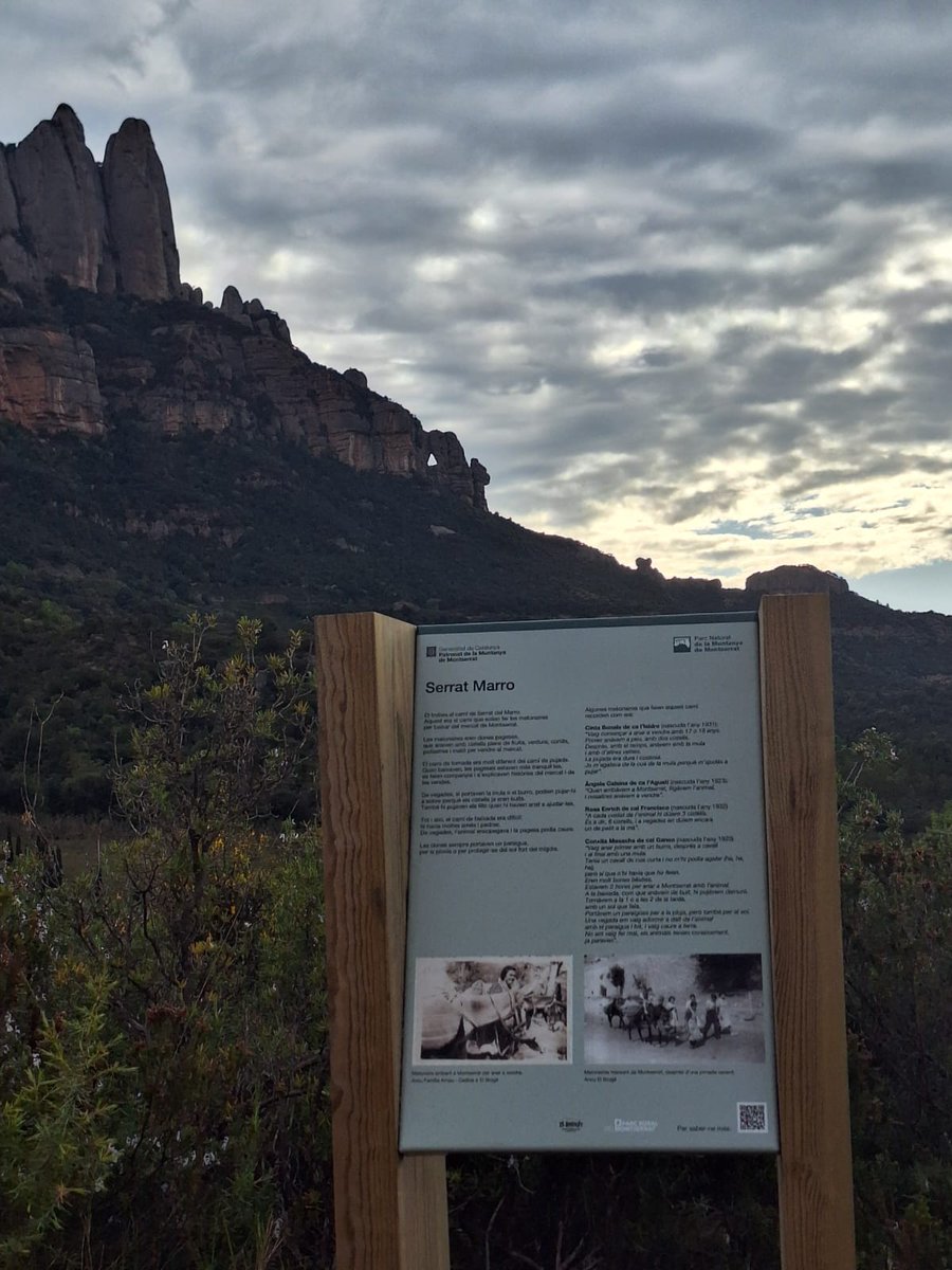 ParcRuralM's tweet photo. 🌿 La Ruta de les Matonaires fa un pas més en la seva consolidació com a itinerari històric i cultural amb la instal·lació de la senyalització completa al llarg de tot el recorregut. 

ℹ️ Més info a https://t.co/qld1x7JRMA https://t.co/AmsLyCg29K