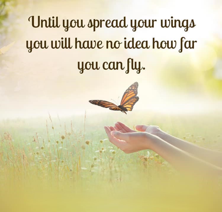 bkitwing's tweet photo. Until wings are spread, true potential remains unknown. Every step in courage reveals new heights, new strength, and limitless possibilities. Keep rising with faith, purpose, and inner power - because only in flight does greatness unfold. #bkitwing #RiseHigher https://t.co/VHMQZoUVq2