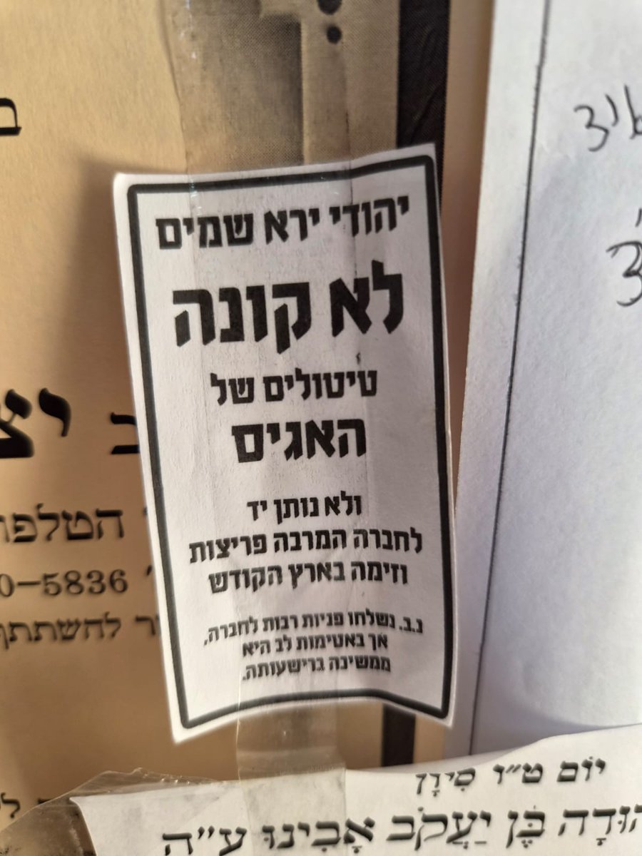 יוסי ריינר | Yossi rainer 𝕏 tweet media