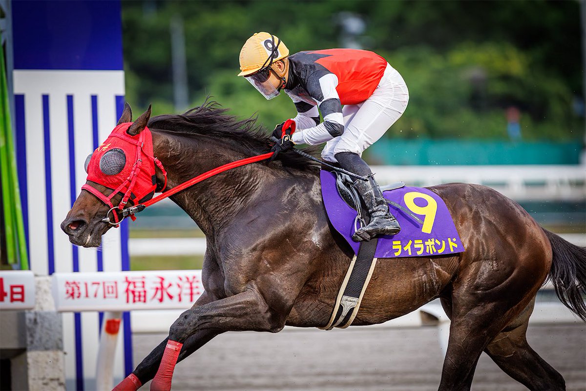 nobapi_keiba's tweet photo. ライラボンド号
福永洋一記念を勝利しました。

また機会があれば騎乗したいです。
高知最高！押忍 https://t.co/2OHkToUAEg