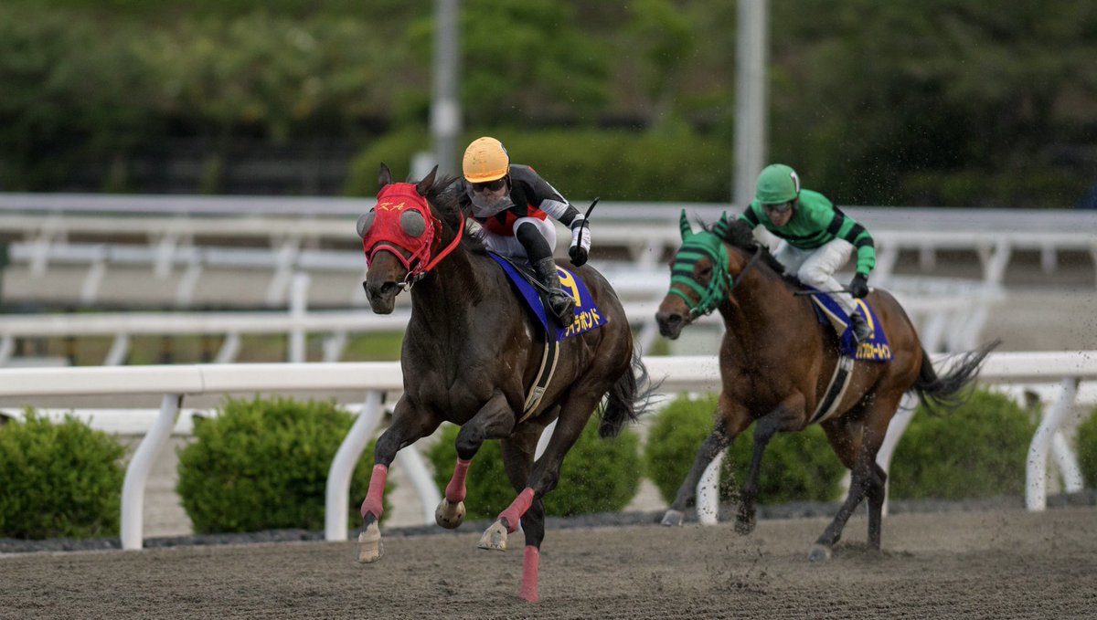 nobapi_keiba's tweet photo. ライラボンド号
福永洋一記念を勝利しました。

また機会があれば騎乗したいです。
高知最高！押忍 https://t.co/2OHkToUAEg