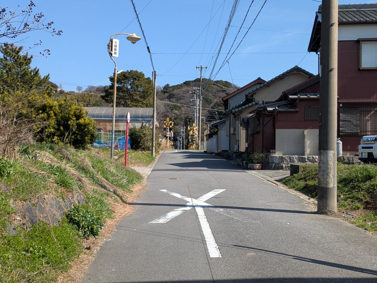 タイムマシン tweet media