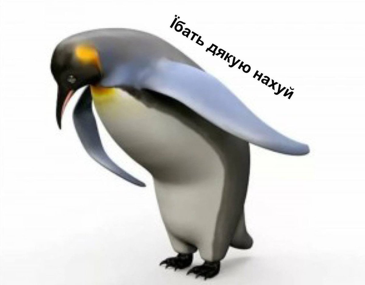 provchina's tweet photo. Декілька днів я наполегливо берегла таємницю, куди хочу повезти коханого в день його народження, хоча він активно намагався вивідати це, і от настає день Х, викликаємо таксі, сідаємо і водій такий:

— Віслюча ферма? 

Моє обличчя: https://t.co/8cSSF1Cp8n