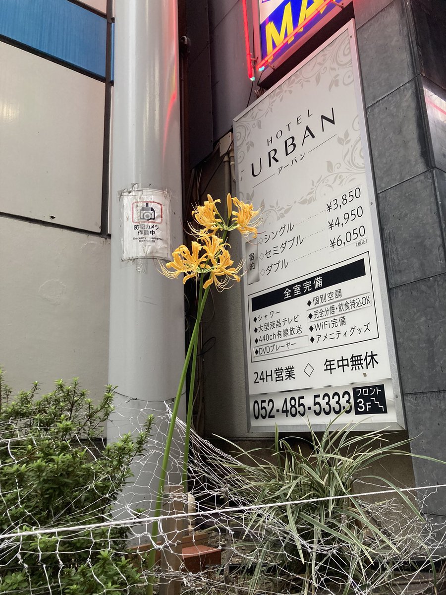 マサ匕口 tweet media