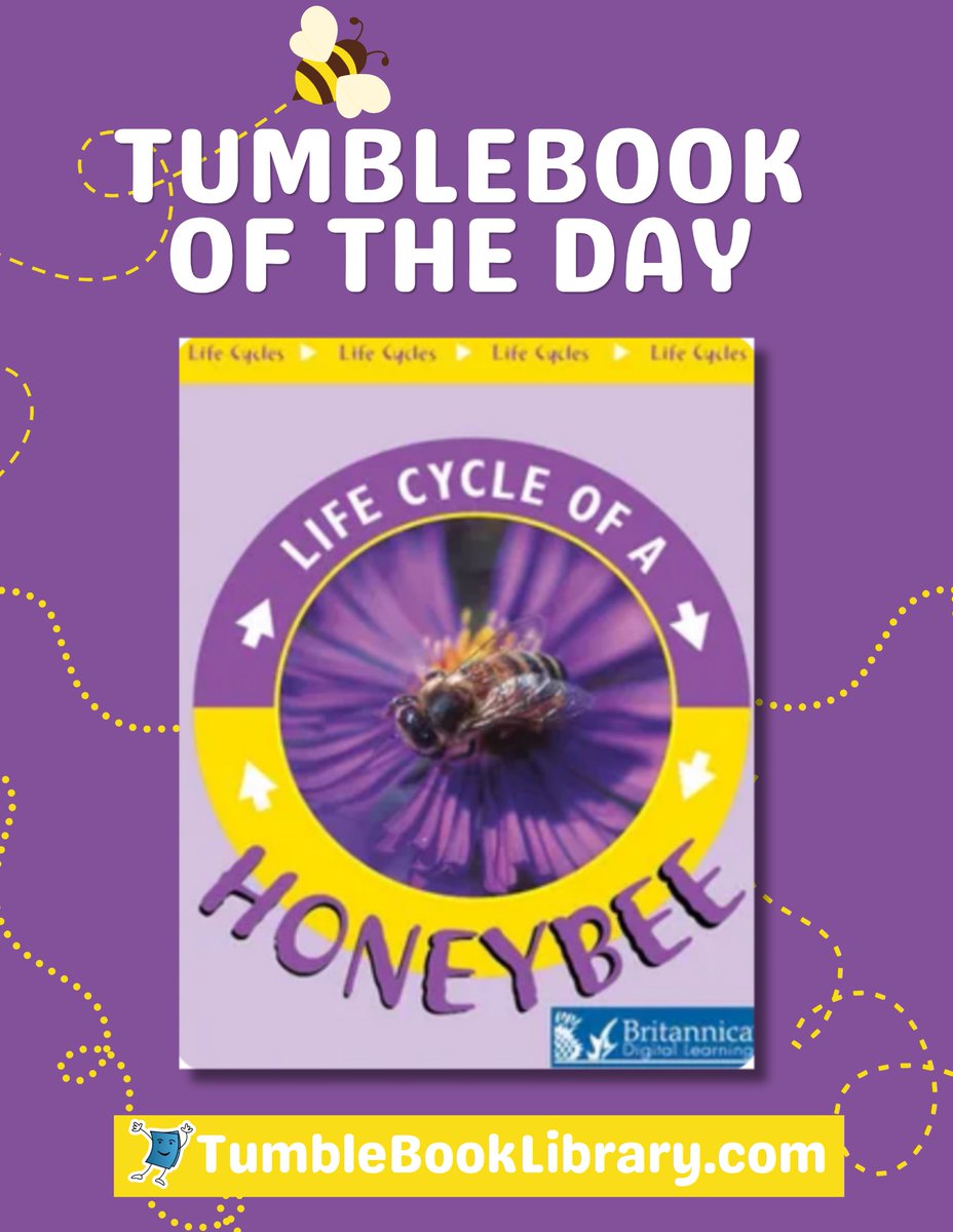 TumbleBooks's tweet photo. 🐝📚 The TumbleBook of the day is: The Life Cycle of a Honeybee

Through vivid illustrations and clear language, this book is perfect for young readers to learn about the fascinating world of honeybees and their crucial role in the ecosystem.

Read along ➡️https://t.co/u7DCaOlopL https://t.co/pg544edhK5
