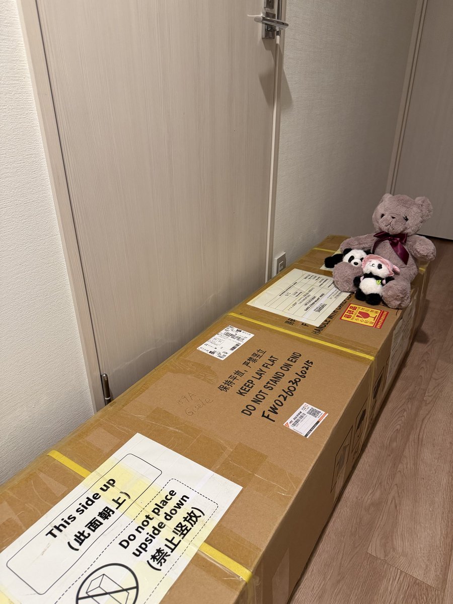 R45Riva53613's tweet photo. ⁉️
ウチの動物たちが興味津々😁
yourdollさまからご縁を頂き��した✨️
ありがとうございます🙇🏼♂️💦
#yourdoll #Funwest https://t.co/97Qax600Sf