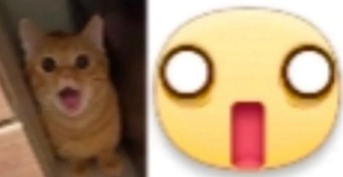 Arthur ⋆𓆝⋆ tweet media