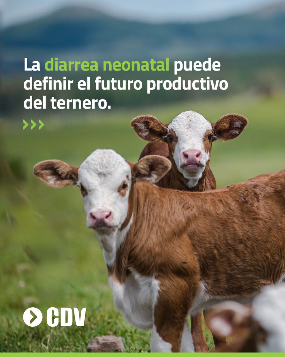 Laboratorio CDV tweet media