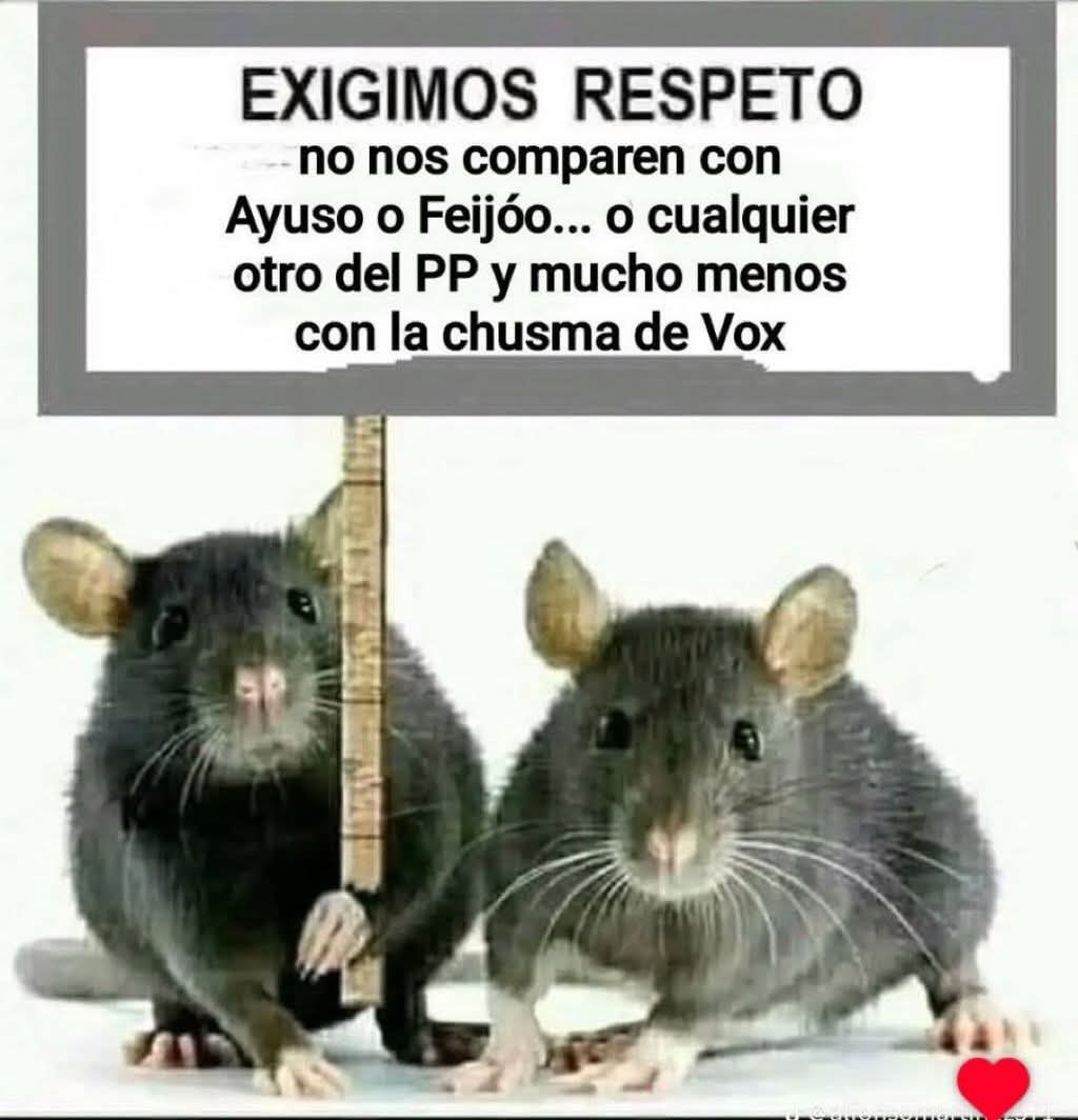 chaniviajes67's tweet photo. @MA_01072025 @el_pais https://t.co/etHlxlFfGb