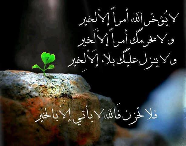 AlmasryWarda's tweet photo. لا ياتى علينا زمان الا بكينا منه ولا يتولى عنا زمان الا بكينا عليه https://t.co/T1STXAcoXq
