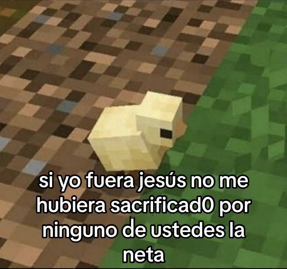 MundoDeBigotes's tweet photo. Un https://t.co/rnr0s4iW6k