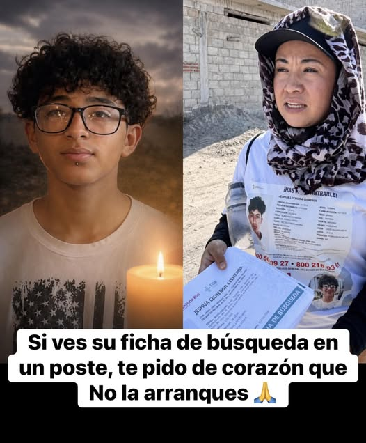 constanza luna tweet media