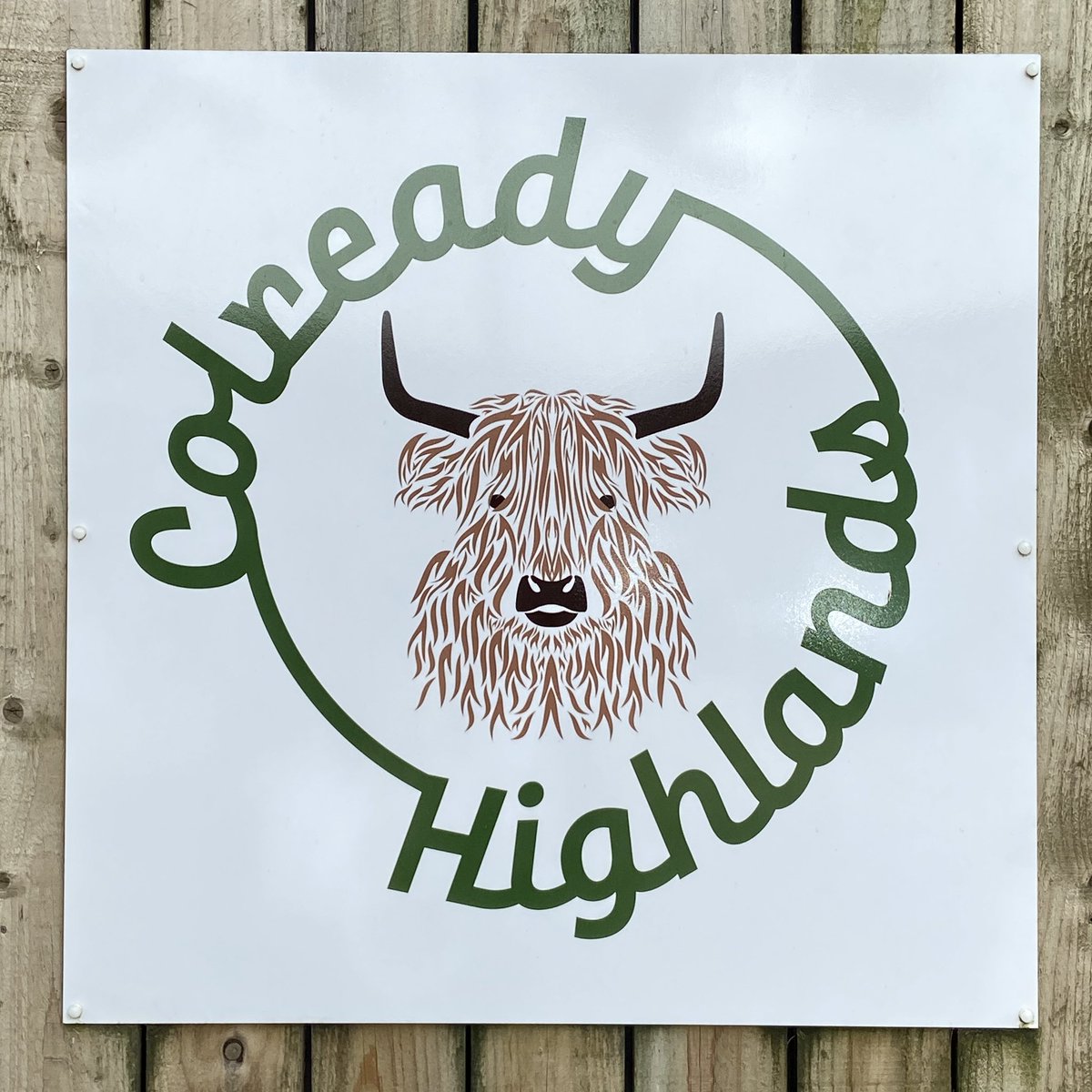 psaxton63's tweet photo. Wonderful experience today getting up close with Highland Cattle at Colready Highlands in rural South Northamptonshire. 
These amazing creatures love apples, that you pop into their mouths like posting a letter (but with more slobber). https://t.co/sW6RADYrhs