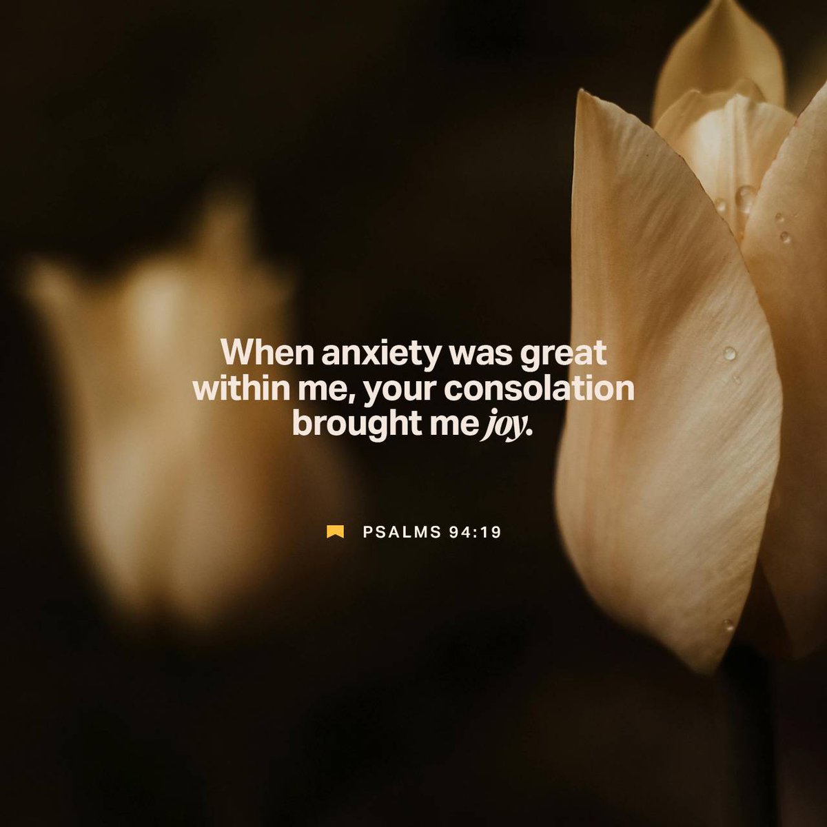 rlgbrown53's tweet photo. Psalms 94:19 NIV
[19] When anxiety was great within me, your consolation brought me joy.

https://t.co/XChujjul4c https://t.co/JcyUDMbhMv