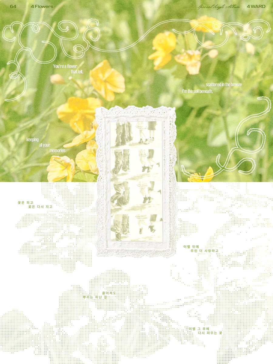 ㅌㅂ/TV tweet media