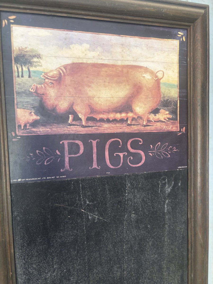 CornishRuskin's tweet photo. Oink https://t.co/KH074leKtB