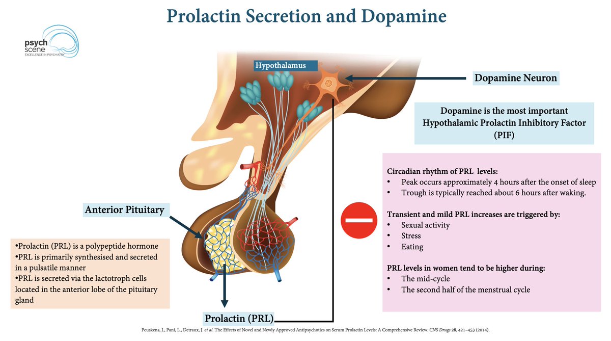 psycheureka's tweet photo. Now connect that to dopamine.

Oestrogen modulates dopamine D2/D3 receptor sensitivity in the ventral tegmental area.

That is clinically relevant because the VTA connects with:

* mesolimbic pathways linked to positive symptoms
* mesocortical pathways linked to negative and cognitive symptoms