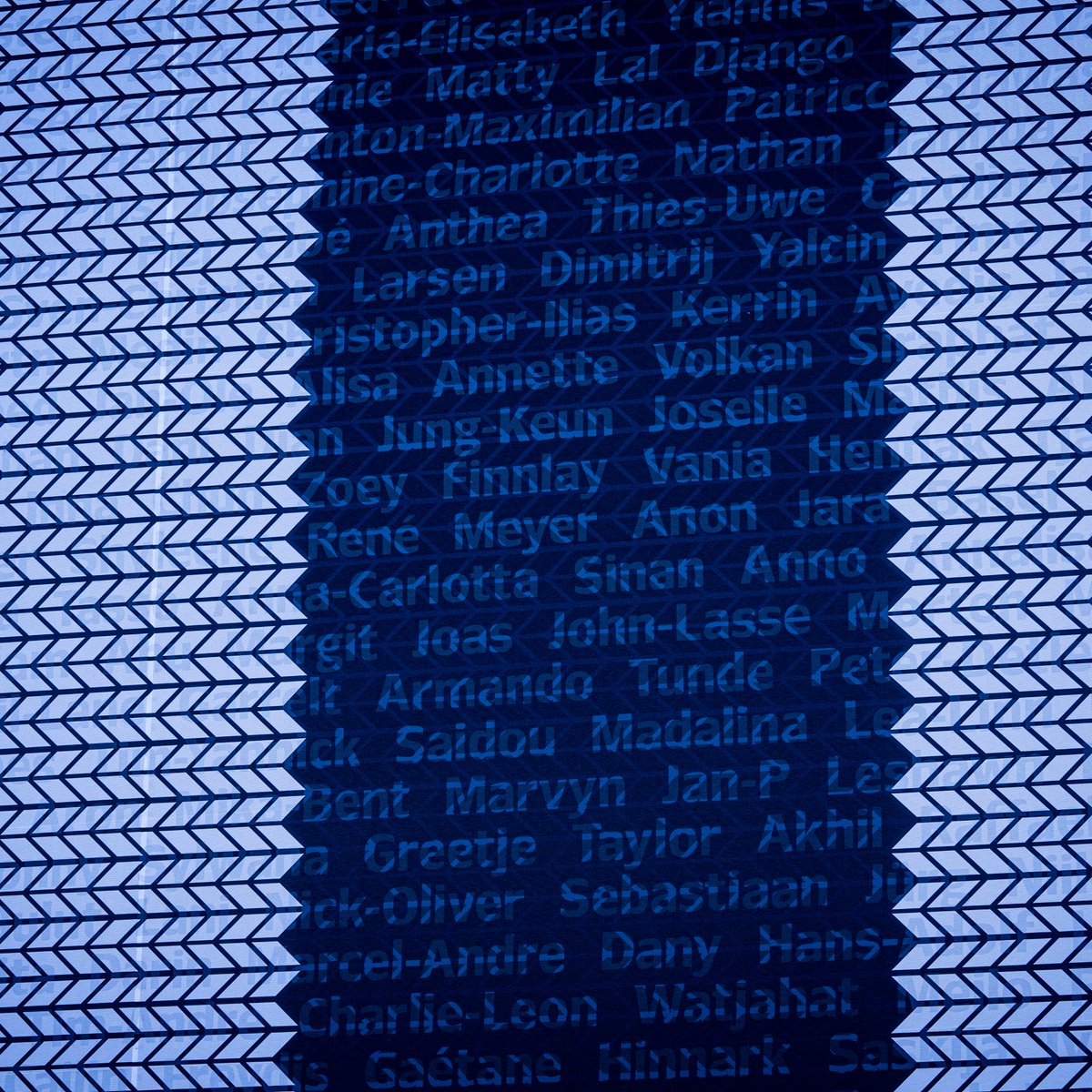 HSV e.V. tweet media