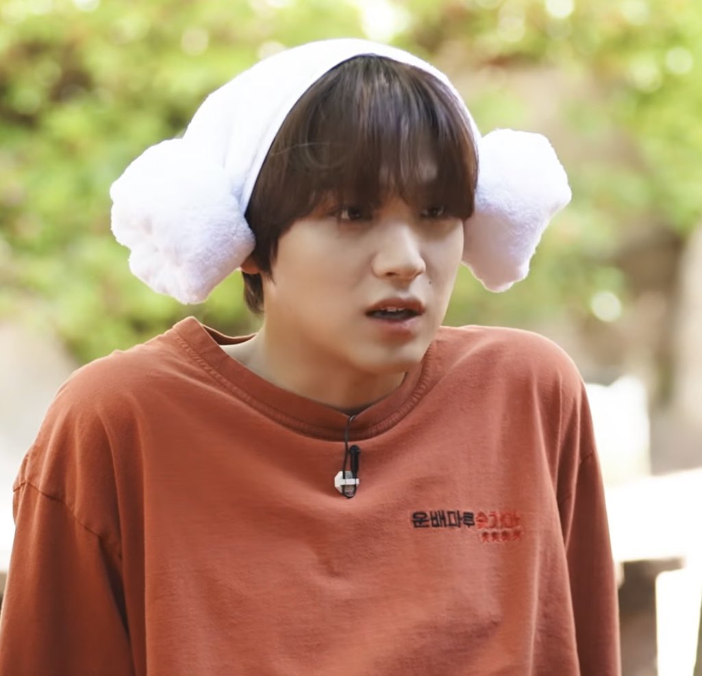 곰쮜 tweet media