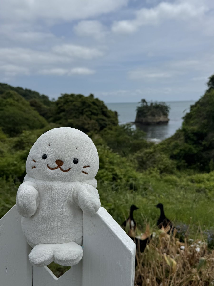 SirotanMap2's tweet photo. はさまった https://t.co/OX2WUGhk88
