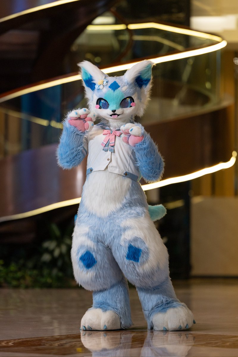 ⭐︎海様⭐︎専用 🐬🐬🐬 📸 @HarryQin114514 #FursuitFriday