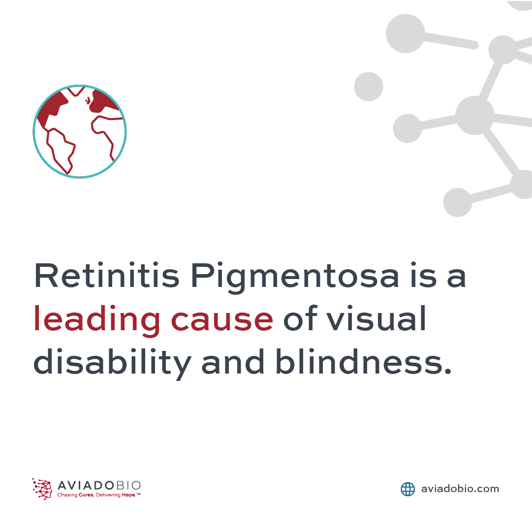 AviadoBio's tweet photo. Healthy Vision Month is a powerful reminder of how urgently treatments are needed for those living with retinal diseases like retinitis pigmentosa (RP).

At AviadoBio, we're committed to relentlessly chasing cures through the potential of gene therapy for diseases like RP. https://t.co/TDGl9LMYFr