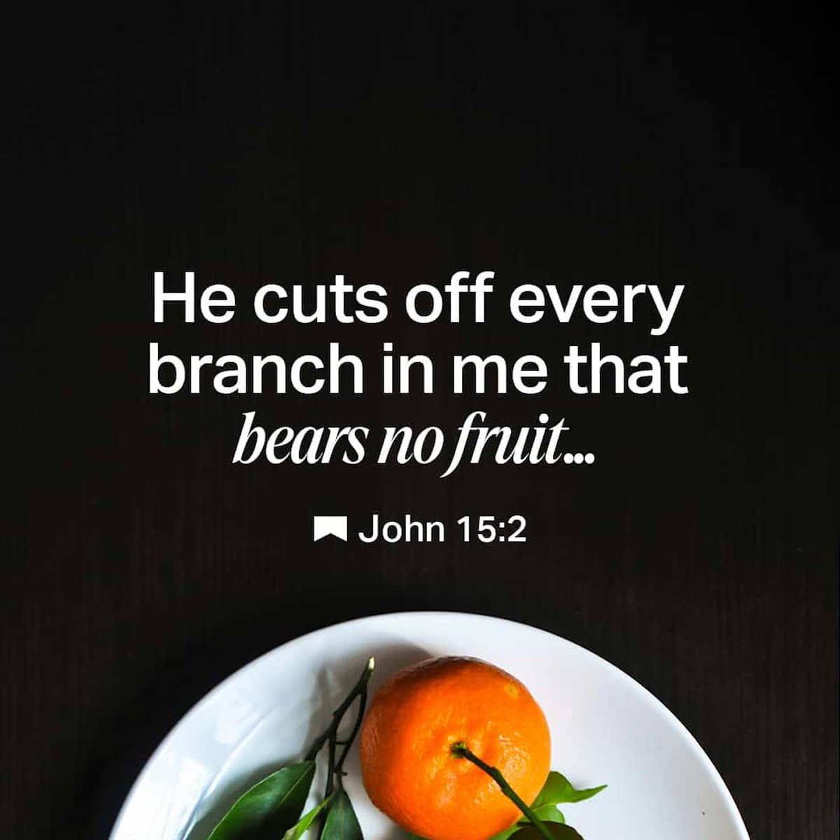 5MinDisciple's tweet photo. GM! https://t.co/9uOsk6Nmhm