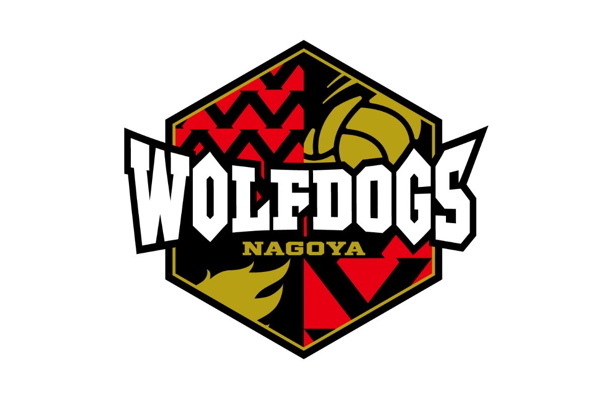 ウルフドッグス名古屋 tweet media
